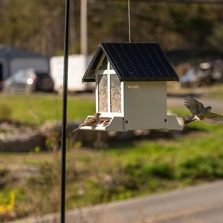 Cozy Cottage, Hot Tub, Fire Pit, 15Min To Hudson And Hiking Catskill Luaran gambar